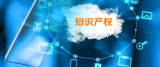 最高检：上半年共起诉侵犯知识产权犯罪6017人